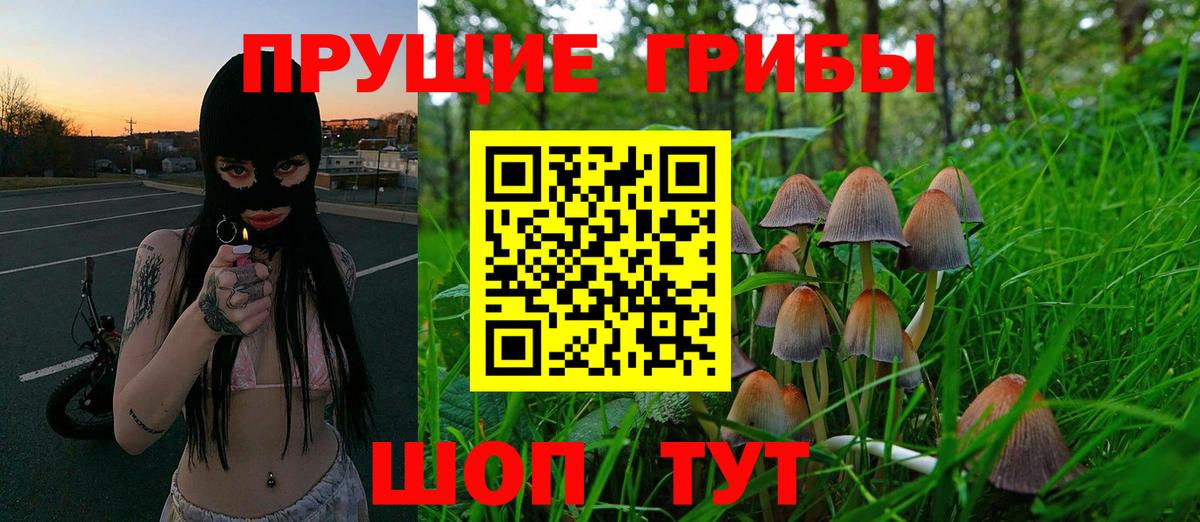 Дальнегорск  Галлюциногенные грибы Magic Shrooms  Вход с VPN  Псилоцибиновые грибы GOLDEN TEACHER 