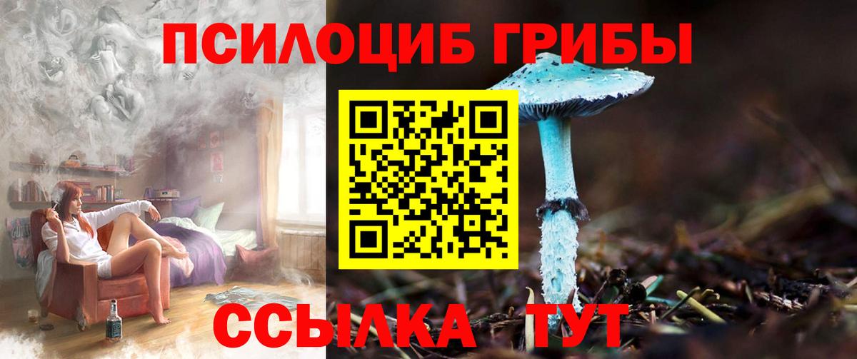 Галлюциногенные грибы Magic Shrooms Дальнегорск